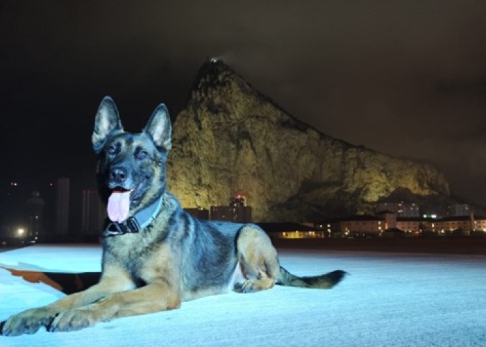 20241023   PD Oskar 05